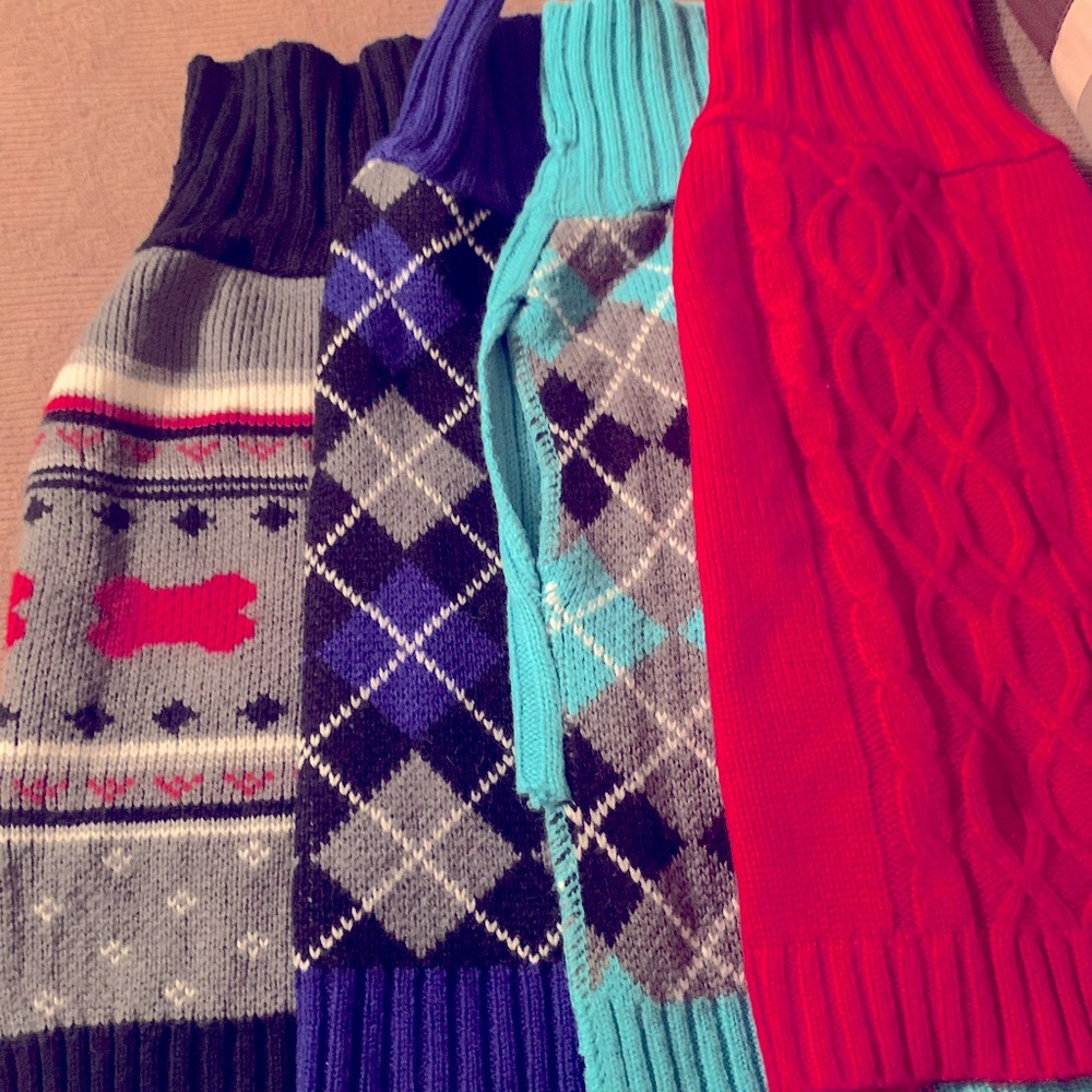 Super cute puppy sweaters